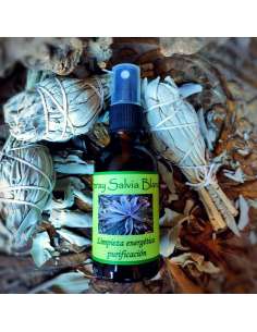 Extracto de Salvia Blanca